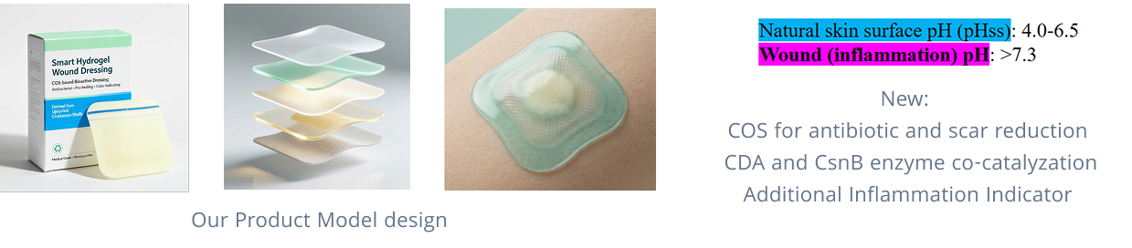 Product Design and Model