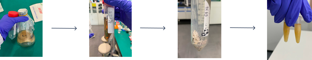 COS Extraction Process