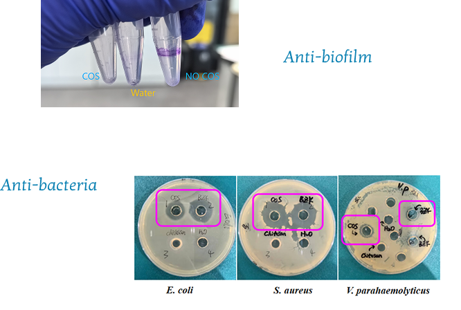 Anti-biotic Test Results