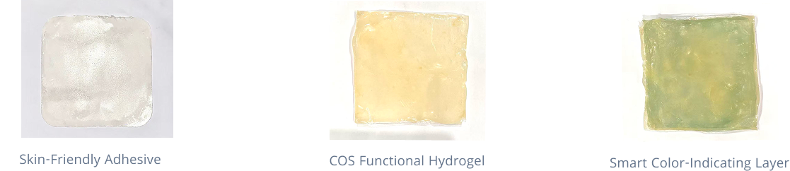 Multi-layer Hydrogel Dressing Prototype