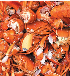 Discarded Shrimp and Crab Shells